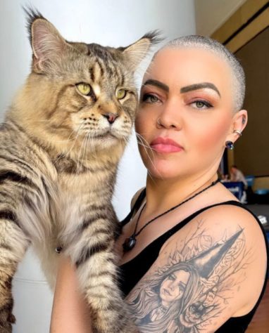 Casal brasileiro alega ter 'maior gato do mundo'