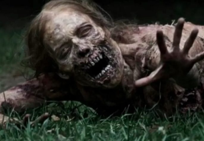 Zumbi The Walking Dead