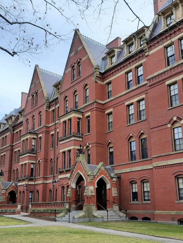 Universidade de Harvard, a mais prestigiada do mundo, indica o café da manhã ideal