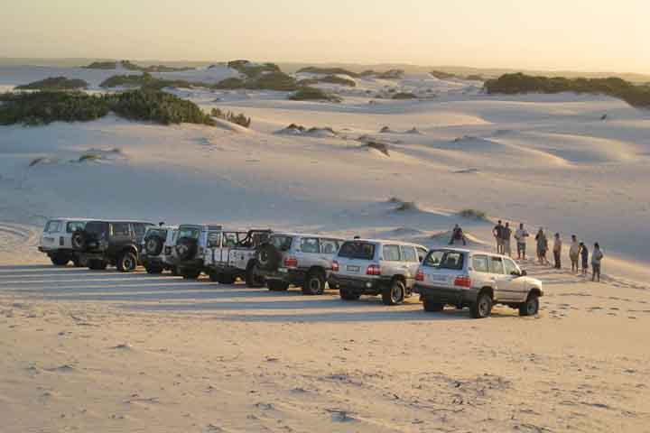 Localiddes nos arredores da Cidade do Cabo também têm atrações incríveis. A 45km da Cidade do Cabo, a Atlantis Dunes Cape Town oferece quadriciclo, sessões de fotos, experiência 4x4 e Ultimate Sandboarding, além de dunas e teleférico. Outro lugar inspirador é a Kirstenbosch Botanical Gardens, com várias espécies de plantas. 