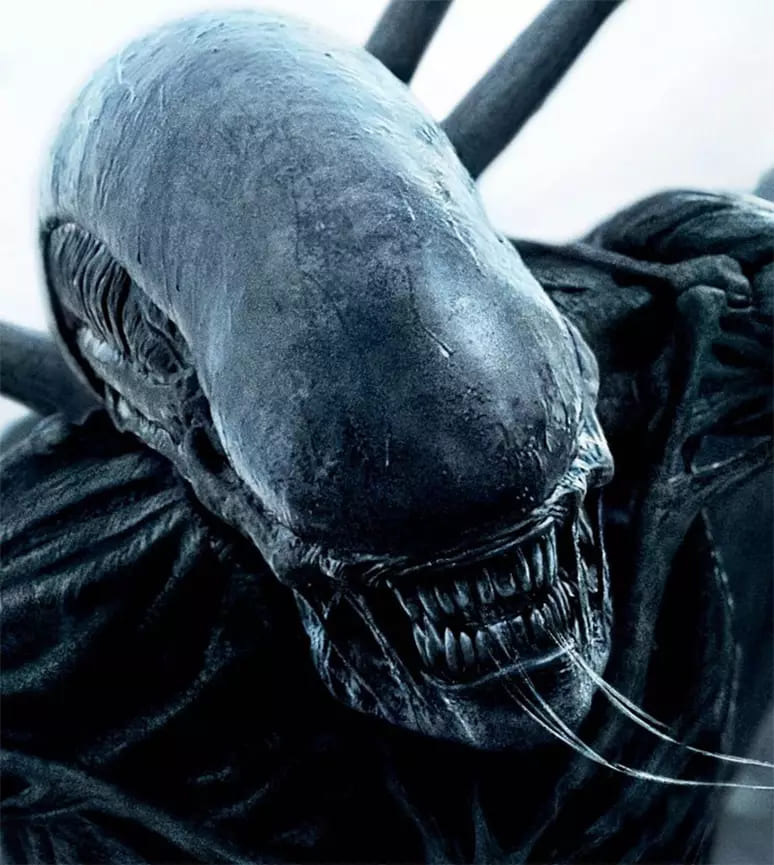 Assim, veja a ordem cronológica correta para assistir aos filmes e acompanhar a linha do tempo da saga. Afinal, depois de 