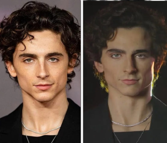 Timothée Chalamet - o ator e a estátua de cera