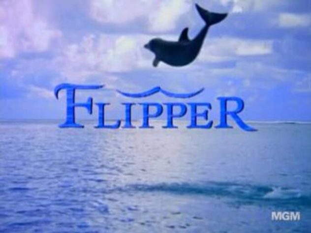 Flipper_1995