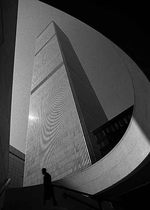 As torres gêmeas foram construídas com aço inoxidável, betão e mármore.  Elas tinham, em conjunto, 198 elevadores e mais de 46 mil janelas. Juntas ocupavam uma área de 930 mil m².  - Bainbru  wikimedia commons