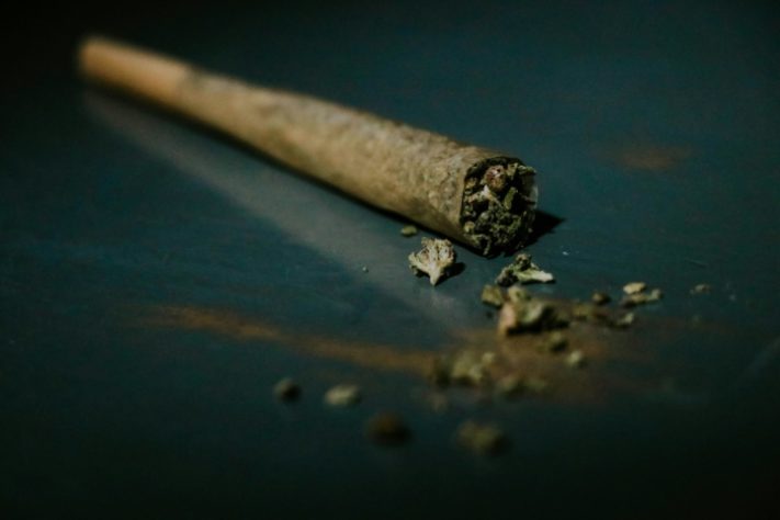 Maconha - cannabis