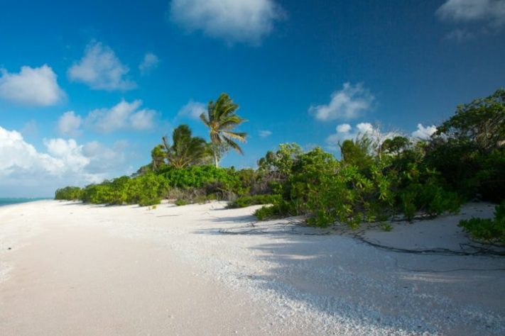 Ilha genérica