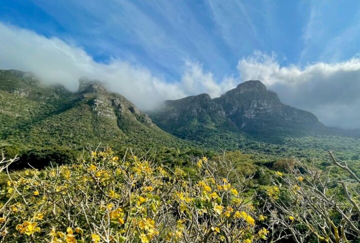 Kirstenbosch Botanical Gardens