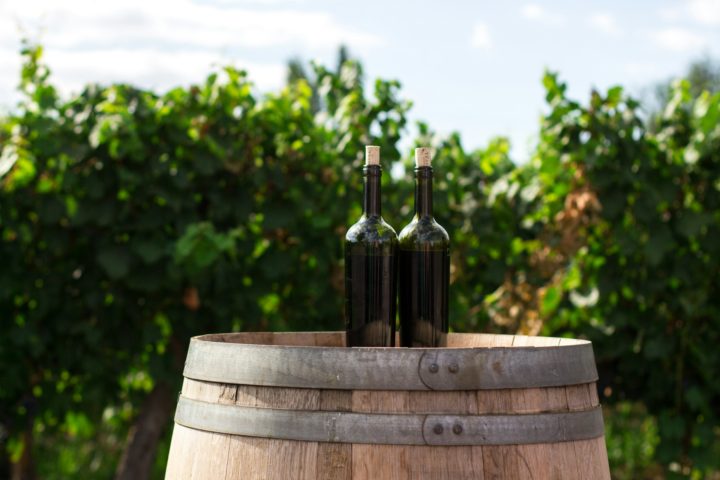 Esses vinhos, conhecidos como "vinhos de frutas" ou "vinhos alternativos", oferecem opções diferenciadas, com as características das frutas utilizadas no processo de fermentação como destaques. Conheça, então, algumas opções que você possivelmente não conhecia.