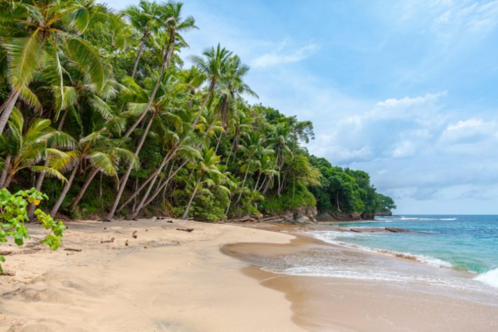 Ilha genérica