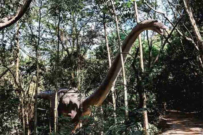 Terra dos Dinos