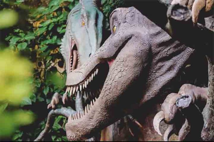 Terra dos Dinos