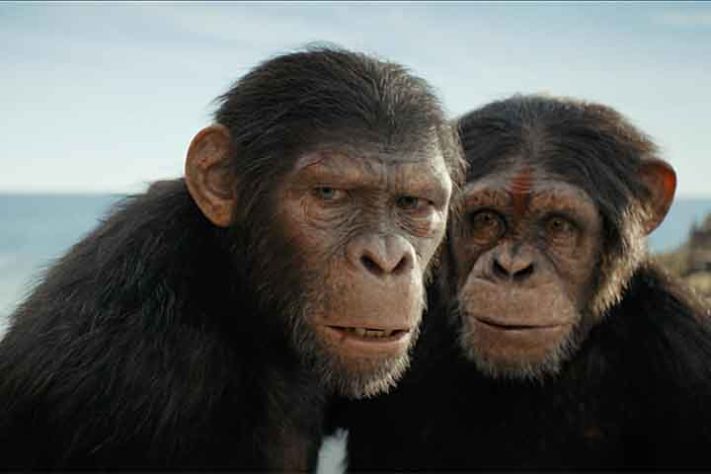 Planeta dos Macacos 