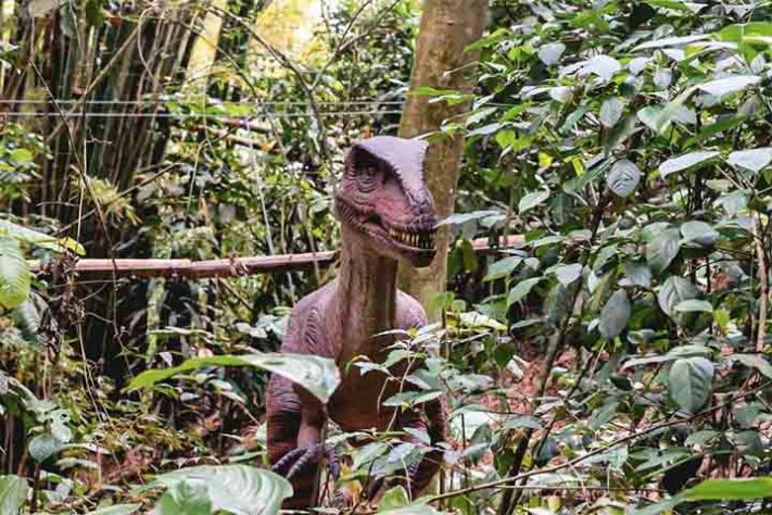 Terra dos Dinos