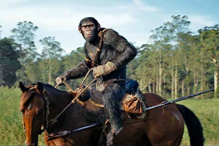 Planeta dos Macacos 