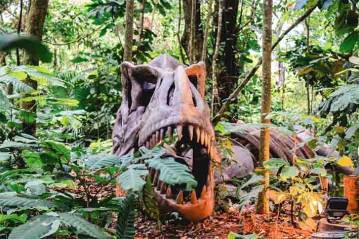 Terra dos Dinos
