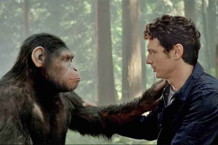 Planeta dos Macacos 