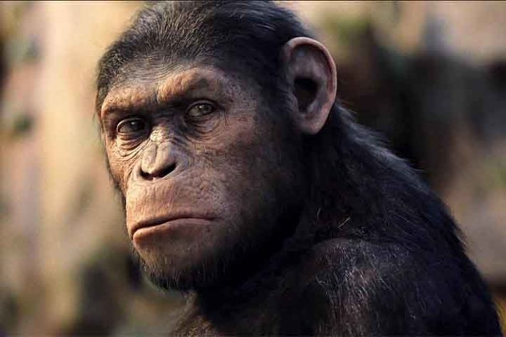 Planeta dos Macacos 
