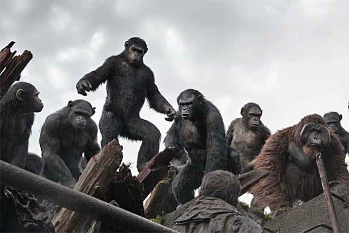 Planeta dos Macacos 