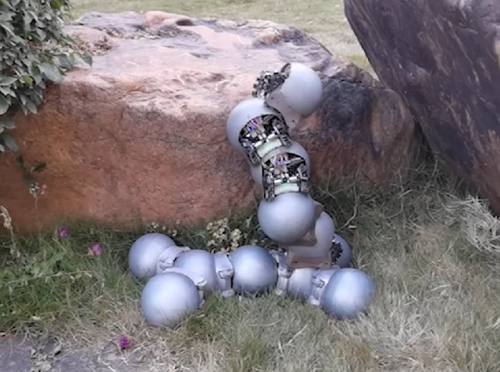 Pensando em uma tecnologia eficiente e inovadora, um grupo de cientistas desenvolveu robôs parecidos com caracóis para a realização de múltiplas tarefas. -  (crédito: reprodução)