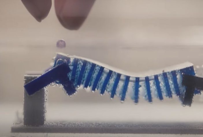 Cientistas da Universidade de Cornell desenvolvem robô-caracol 