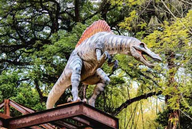 ‘Parque dos Dinossauros’ do RJ recebe certificado da ONU de turismo sustentável