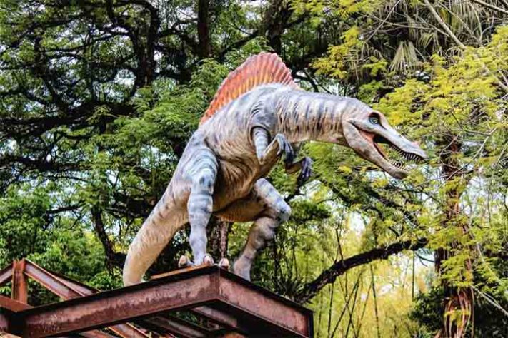 Terra dos Dinos - Reprodução Instagram @terradosdinos