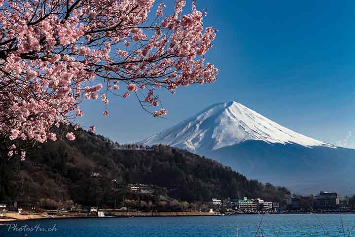 <p>O monte é parte integrante do Parque Nacional Fuji-Hakone-Izu, onde existem cinco lagos que o rodeiam. O Lago Kawaguchi que é o de mais fácil acesso, Yamanaka, Motosu e o Shoji. De todos estes locais se tem boa visibilidade para o Fuji-san, bem como do Lago Ashi, que fica nas proximidades.</p>
