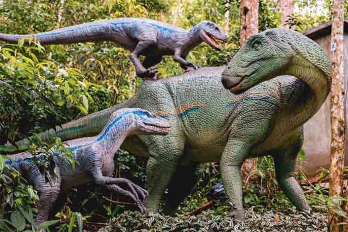 Terra dos Dinos
