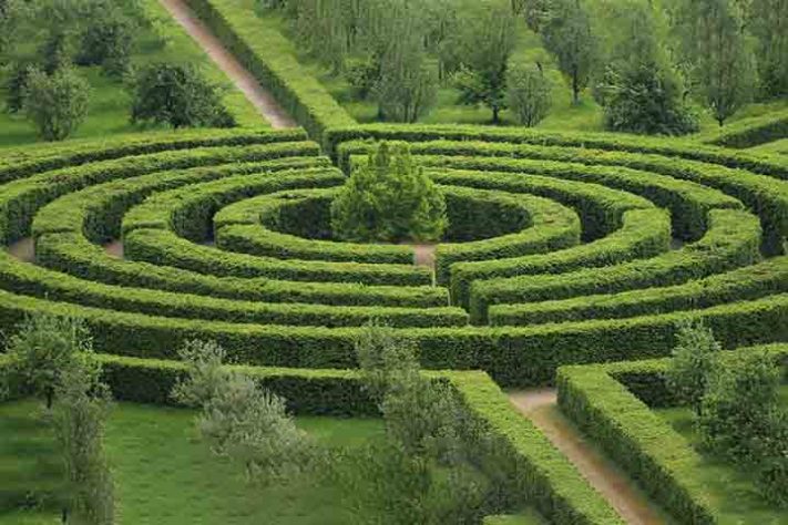 Labirintos - Imagem de Tarey por Pixabay