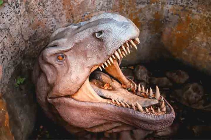Terra dos Dinos
