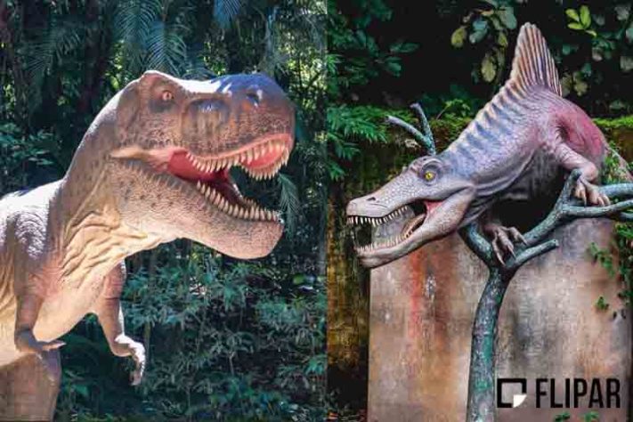 Terra dos Dinos