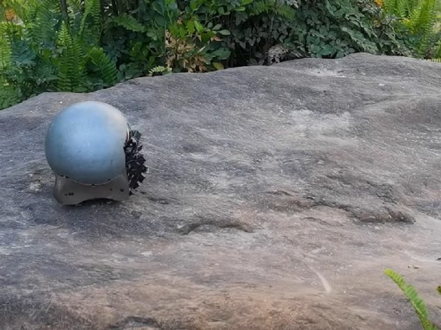 Cientistas desenvolvem robô-caracol capaz de atravessar terrenos difíceis