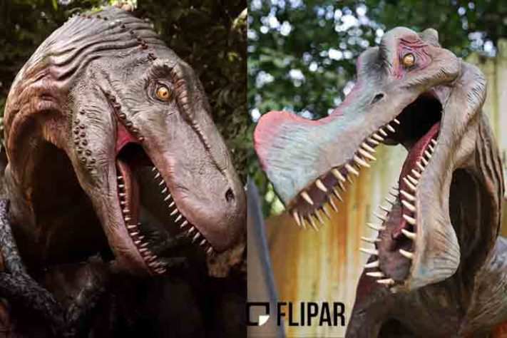 Terra dos Dinos