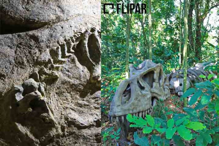 Terra dos Dinos