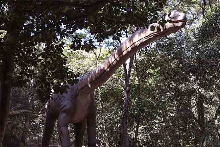Terra dos Dinos