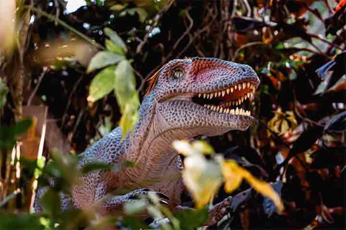 Terra dos Dinos