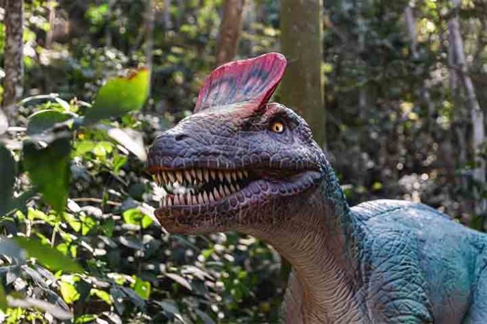 Terra dos Dinos