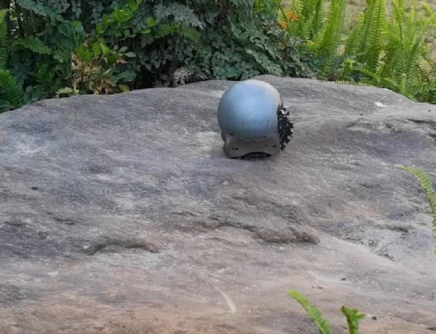 Cientistas desenvolvem robô-caracol capaz de atravessar terrenos difíceis