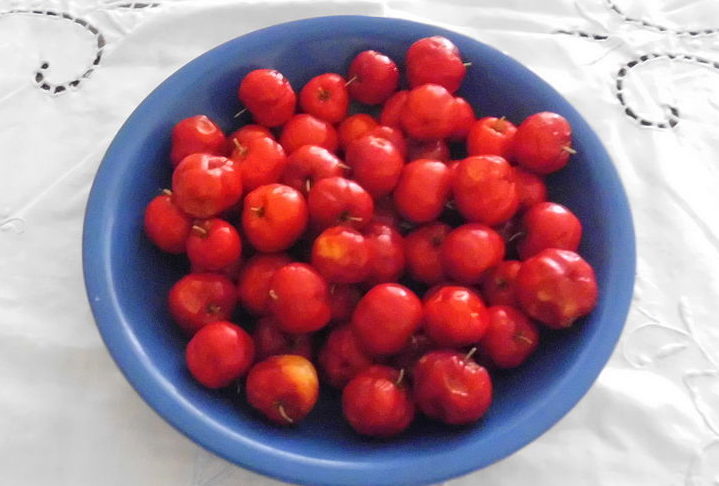 Conheça mais sobre essa fruta tão importante para a saúde.