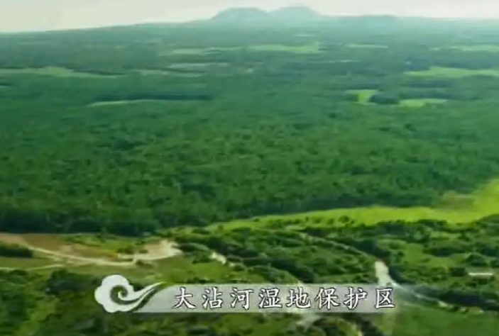 Reserva Natural Nacional de Zhalong, Heilongjiang