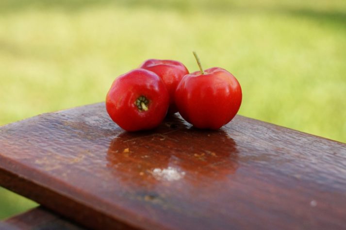 Acerola