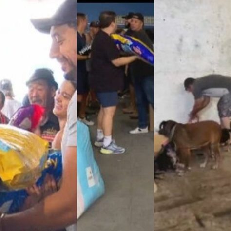 Montagem - voluntários participam de coleta de suprimentos e ajudam a resgatar animais no RS