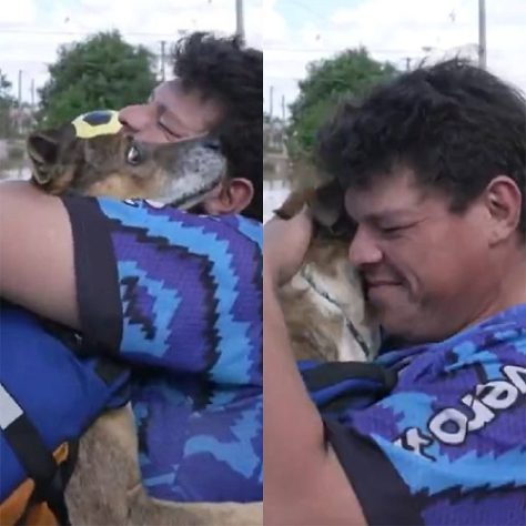 Montagem - voluntário de resgate encontra próprio cachorro no RS
