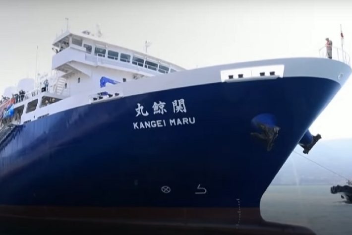 Japão lança maior navio de caça a baleias do mundo