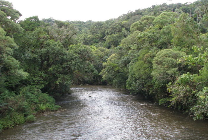 Cubatão, SP