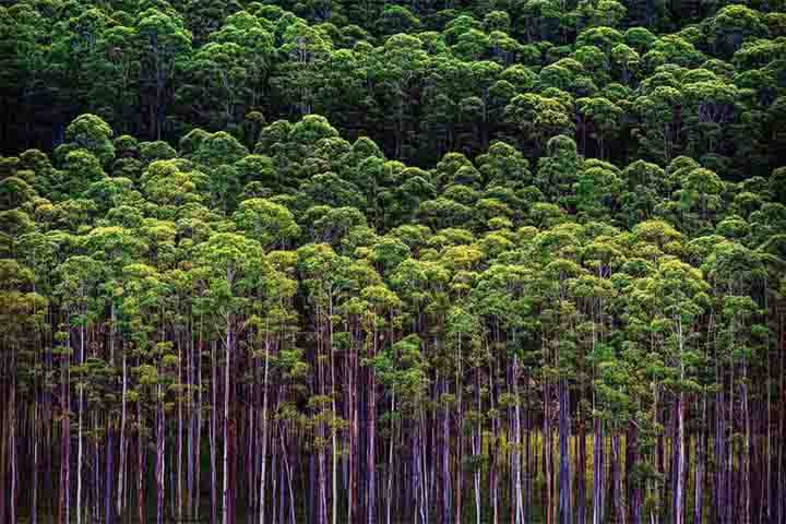 O custo para esses fretes é alto, entre R$ 3 mil e R$ 13 mil por hora, e o fotógrafo tem condições de arcar com os valores vultosos por ter acumulado oito carreiras no transcorrer da vida. 

