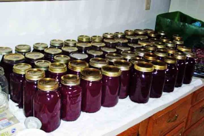 Suco de uva