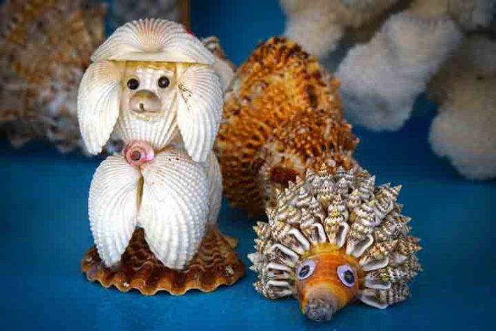Conchas