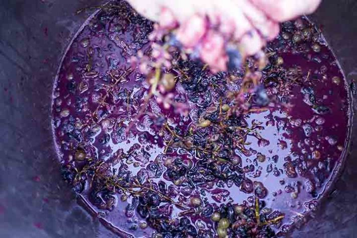 Suco de uva