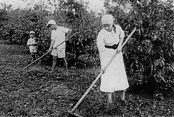 No início do século XX, também houve grandes fluxos de emigração japonesa para colonizar os territórios recém-conquistados da Coreia e Taiwan. Praticamente todos os imigrantes que formaram grandes colônias retornaram ao Japão depois do fim da Segunda Guerra Mundial.